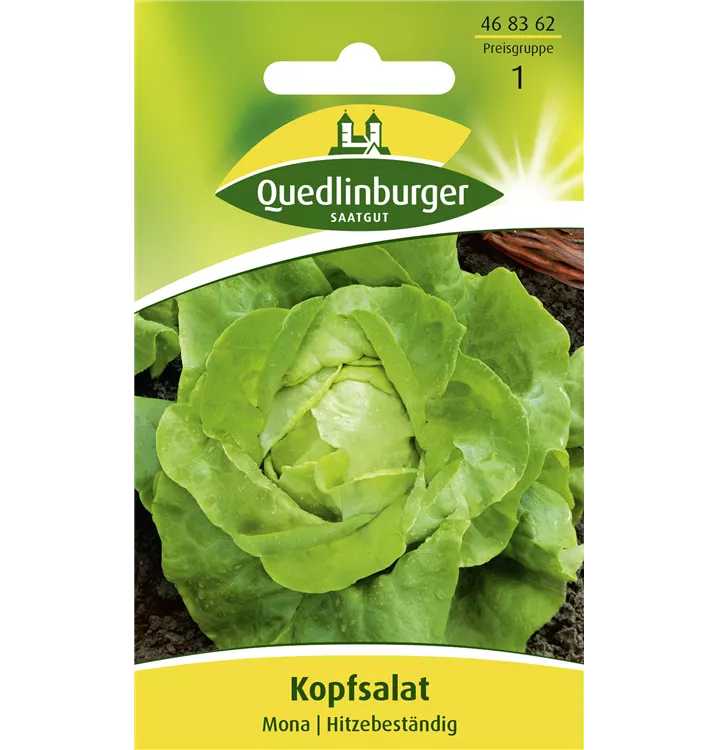 Kopfsalat 'Mona' Sommeranbau  Samen 452087 