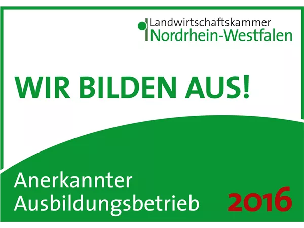 Wir bilden aus! (m/w/d)