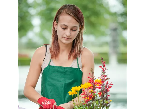 Schülerpraktikum (m/w/d)