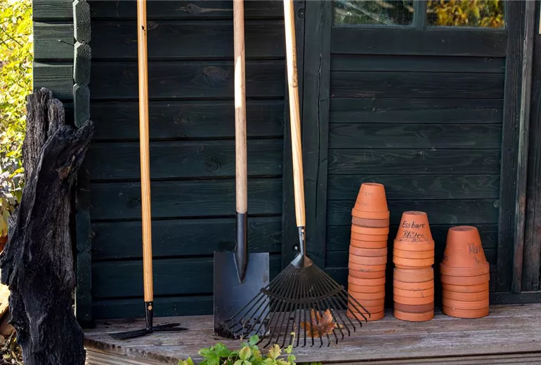 GS657112.jpg GS657112.jpg