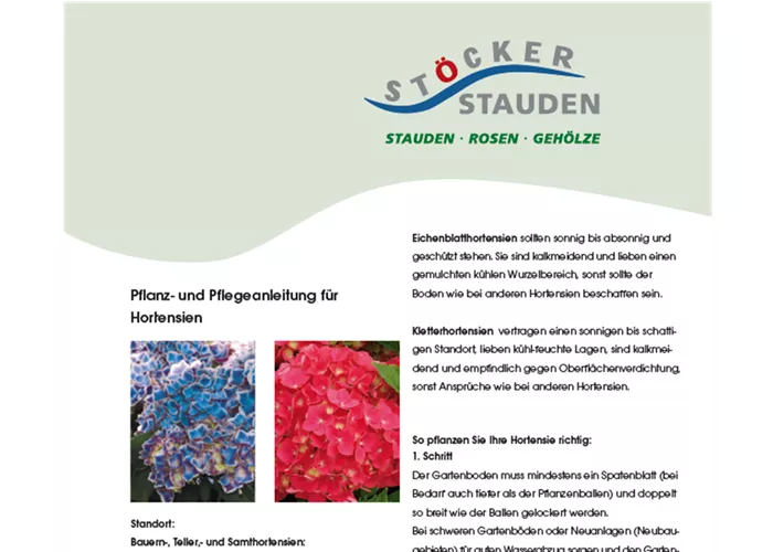 Pflegeanleitung - Hortensien Pflegeanleitung - Hortensien