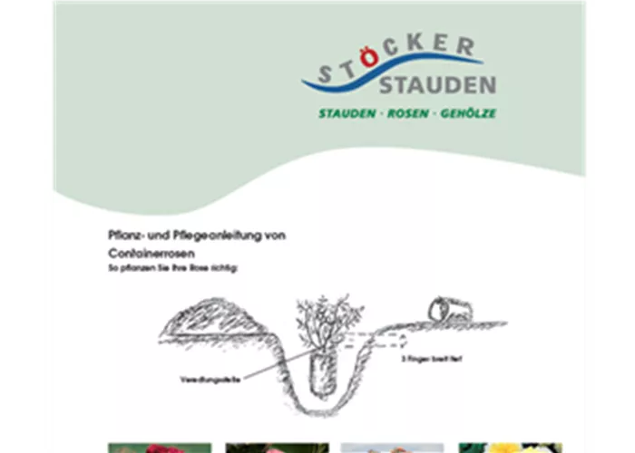Pflegeanleitung - Rosen  Pflegeanleitung - Rosen