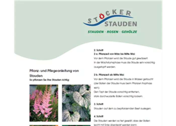 Pflegeanleitung - Stauden Pflegeanleitung - Stauden