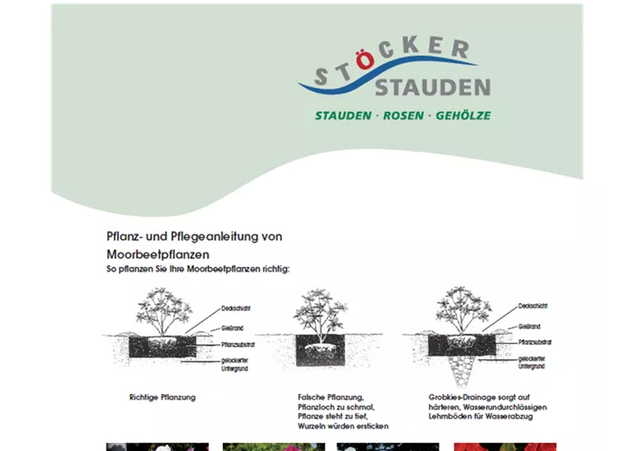 Pflegeanleitung - Moorbeetpflanzen Pflegeanleitung - Moorbeetpflanzen