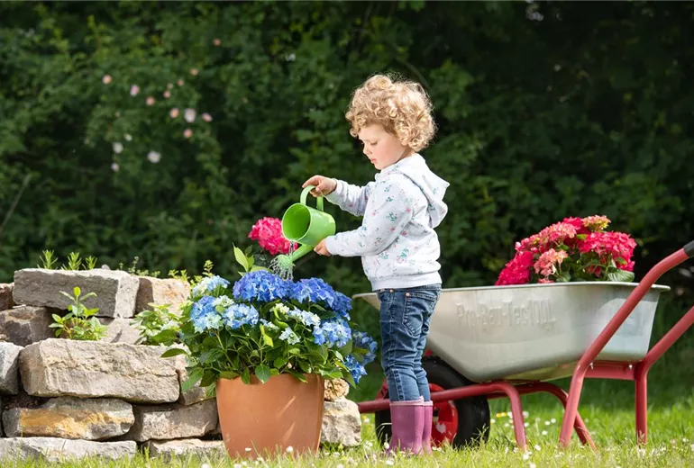 GS649307.jpg GS649307.jpg