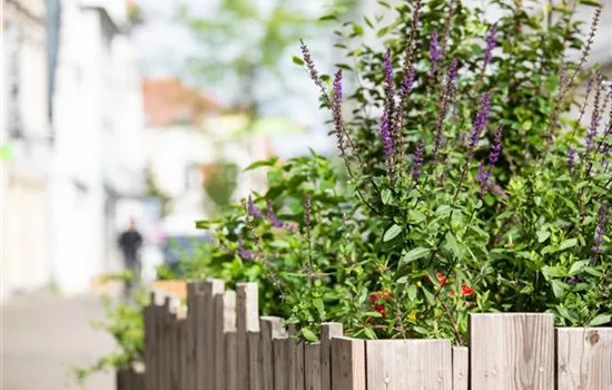 Urban Gardening – selbst in der Stadt ist Platz zum Gärtnern Urban Gardening – selbst in der Stadt ist Platz zum Gärtnern