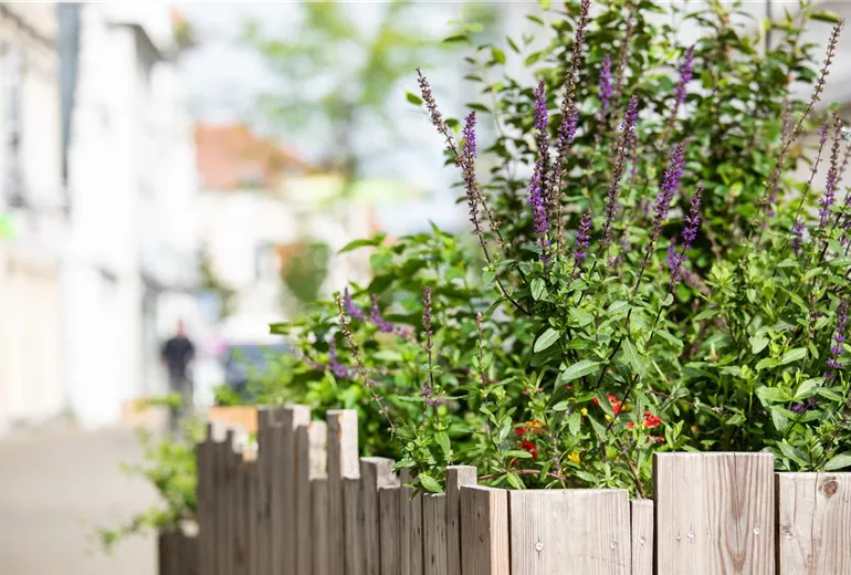 GS622387.jpg GS622387.jpg