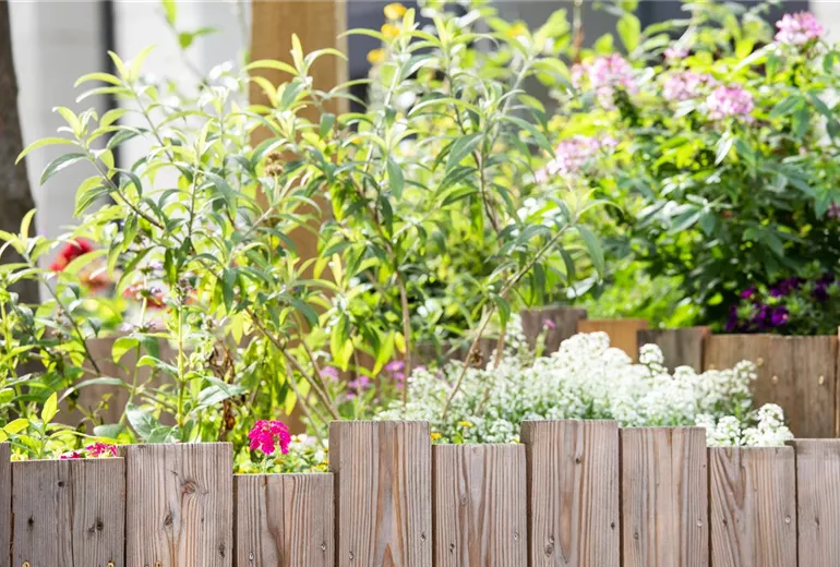 GS622441.jpg GS622441.jpg