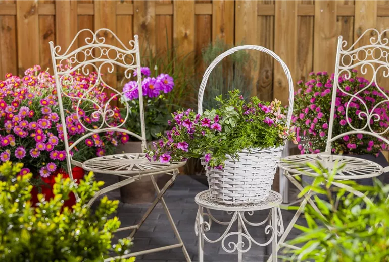Terrasse mit bunten Kübelpflanzen Terrasse mit bunten Kübelpflanzen