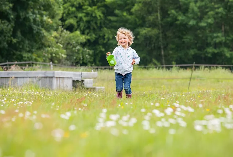 GS649306.jpg GS649306.jpg