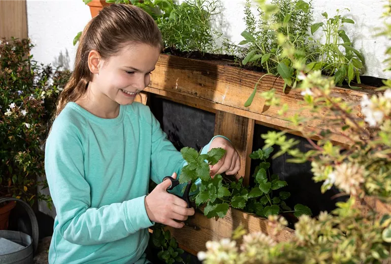 GS642381.jpg GS642381.jpg