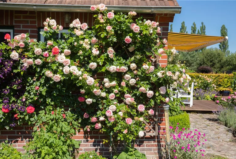 GS667522.jpg GS667522.jpg