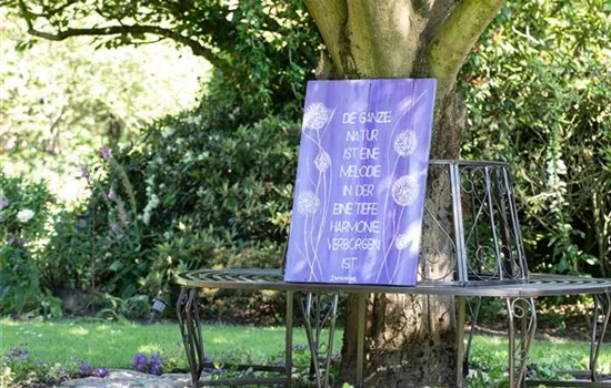 Gartendekoration sorgt für das gewisse Etwas Gartendekoration sorgt für das gewisse Etwas