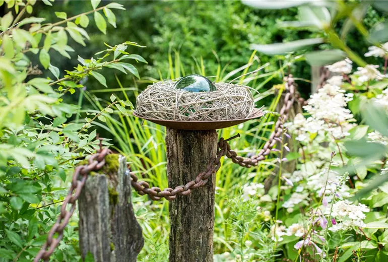 GS669222.jpg GS669222.jpg