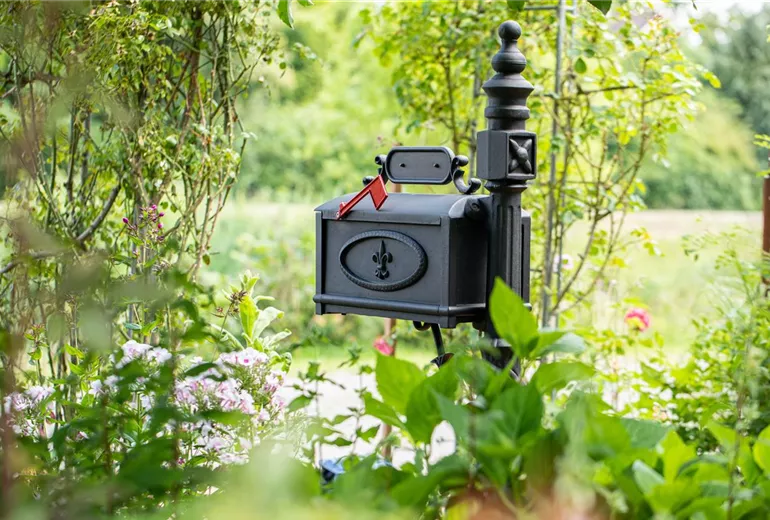 GS669211.jpg GS669211.jpg