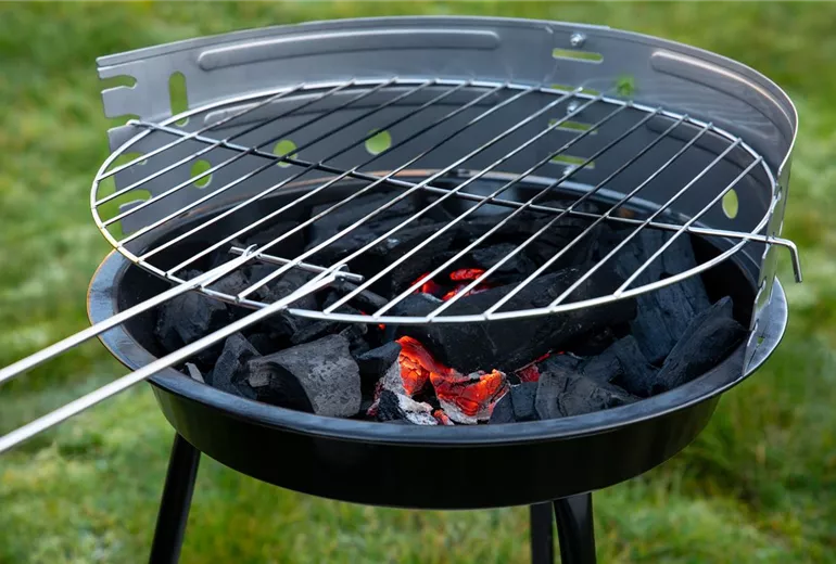 GS652471.jpg GS652471.jpg