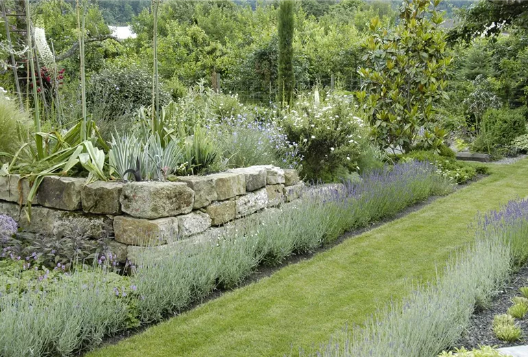 GS636028.jpg GS636028.jpg