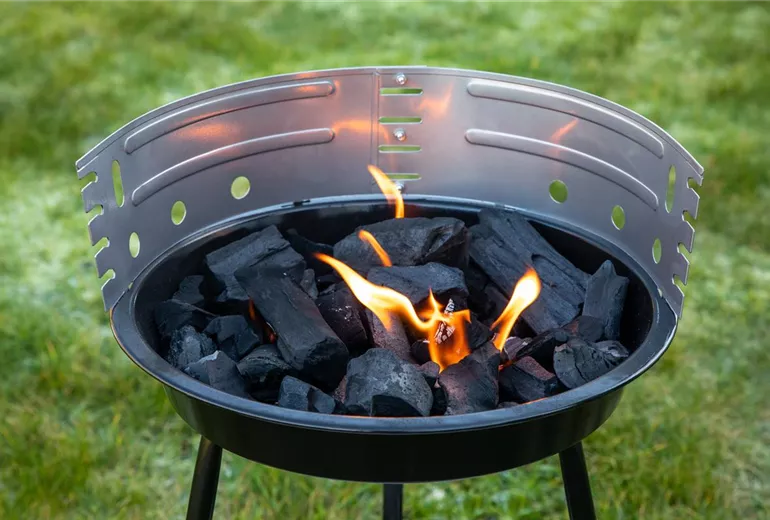 GS652465.jpg GS652465.jpg