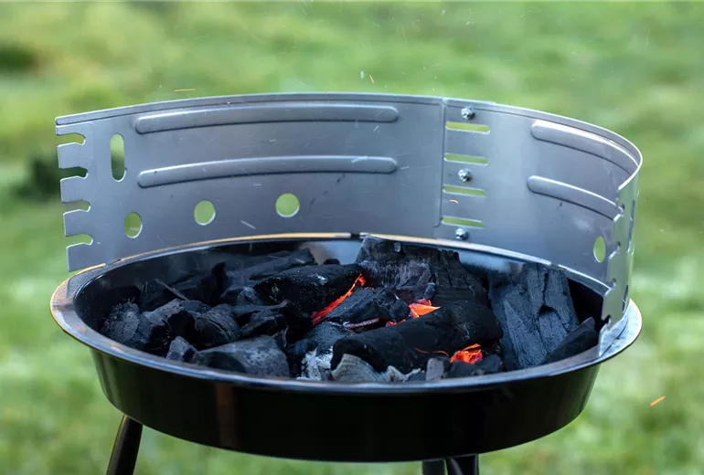 GS652586.jpg GS652586.jpg