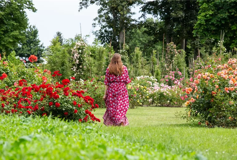 GS660455.jpg GS660455.jpg