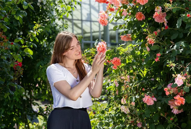 GS660432.jpg GS660432.jpg