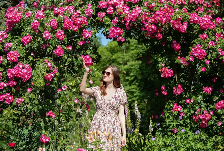 GS666613.jpg GS666613.jpg