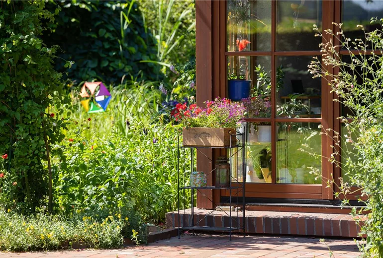 GS667479.jpg GS667479.jpg