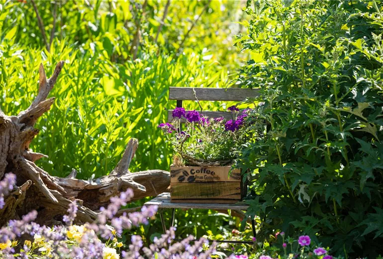 Gartenambiente  Gartenambiente