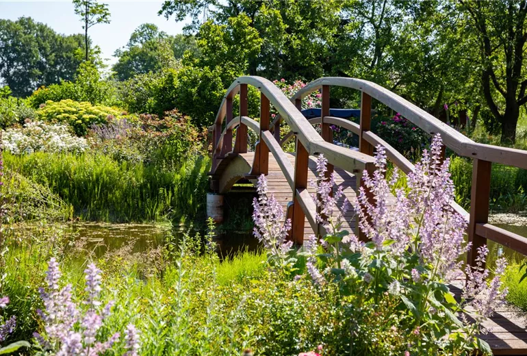 GS667455.jpg GS667455.jpg