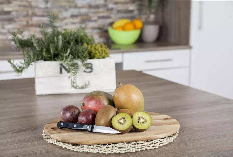 Actinidia chinensis Actinidia chinensis