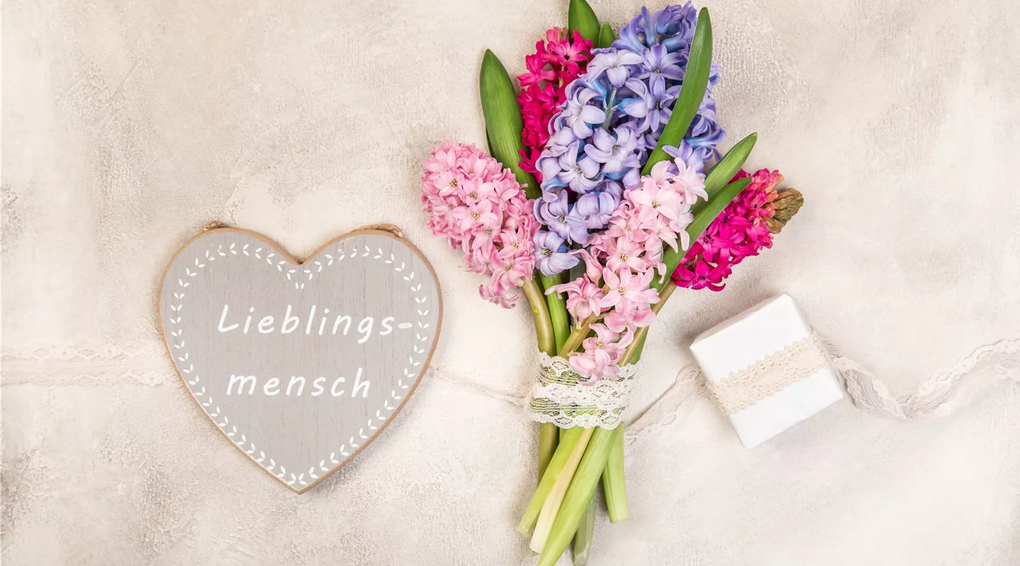 Verschenken Sie Freude Verschenken Sie Freude