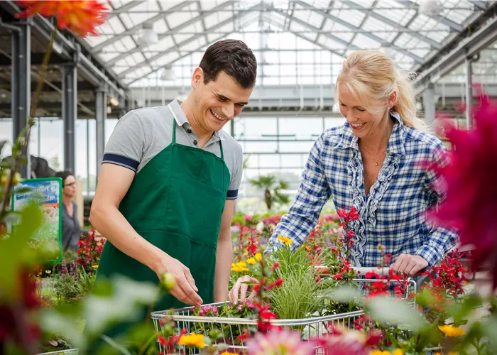 Gärtner, Florist oder Ouereinsteiger in Teilzeit m/w/d  Gärtner, Florist oder Ouereinsteiger in Teilzeit m/w/d