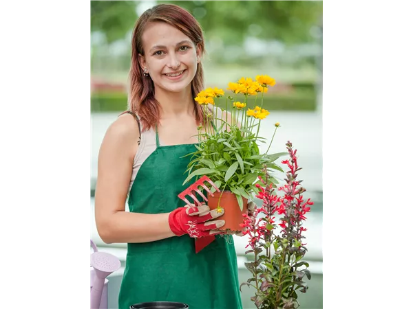 Ausbildung zum Staudengärtner (m/w/d)