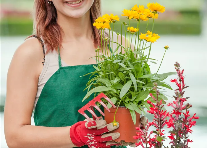 Ausbildung zum Staudengärtner (m/w/d) Ausbildung zum Staudengärtner (m/w/d)